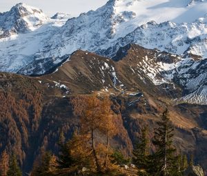 Preview wallpaper mountain, snow, trees, puddle, landscape