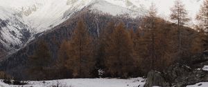 Preview wallpaper mountain, snow, trees, winter, landscape, snowy