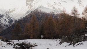 Preview wallpaper mountain, snow, trees, winter, landscape, snowy