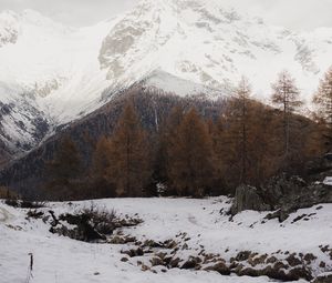 Preview wallpaper mountain, snow, trees, winter, landscape, snowy