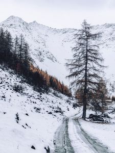 Preview wallpaper mountain, snow, trees, road, winter, nature