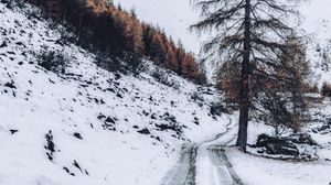 Preview wallpaper mountain, snow, trees, road, winter, nature