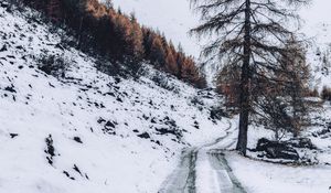 Preview wallpaper mountain, snow, trees, road, winter, nature