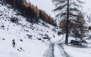 Preview wallpaper mountain, snow, trees, road, winter, nature