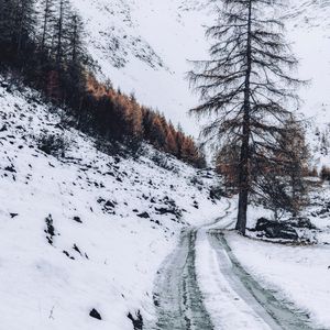 Preview wallpaper mountain, snow, trees, road, winter, nature