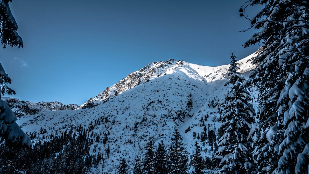 Wallpaper mountain, snow, trees, landscape, nature