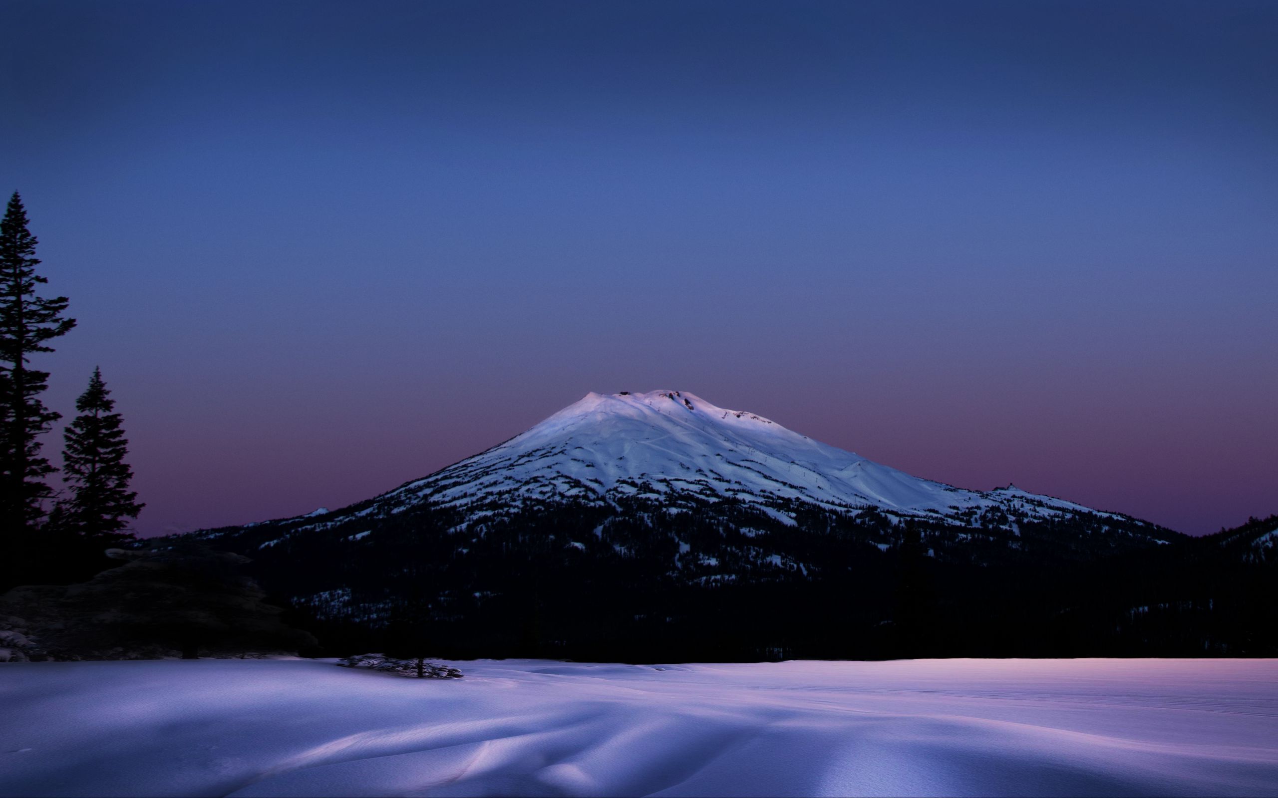 Download wallpaper 2560x1600 mountain, snow, trees, winter, twilight