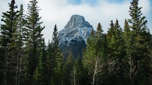 Preview wallpaper mountain, snow, trees, nature, landscape