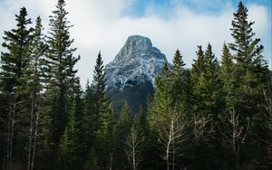 Preview wallpaper mountain, snow, trees, nature, landscape