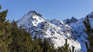 Preview wallpaper mountain, snow, trees, landscape, slope