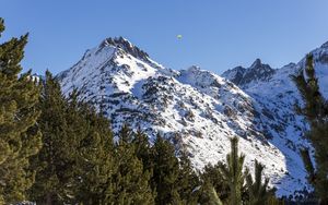 Preview wallpaper mountain, snow, trees, landscape, slope