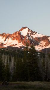 Preview wallpaper mountain, snow, trees