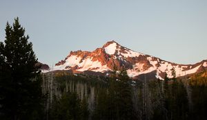 Preview wallpaper mountain, snow, trees