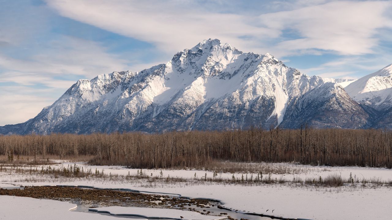 Wallpaper mountain, snow, trees, river, winter