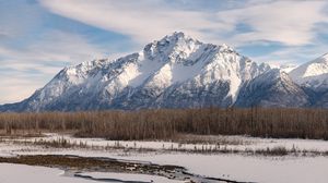 Preview wallpaper mountain, snow, trees, river, winter