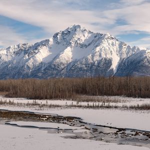 Preview wallpaper mountain, snow, trees, river, winter