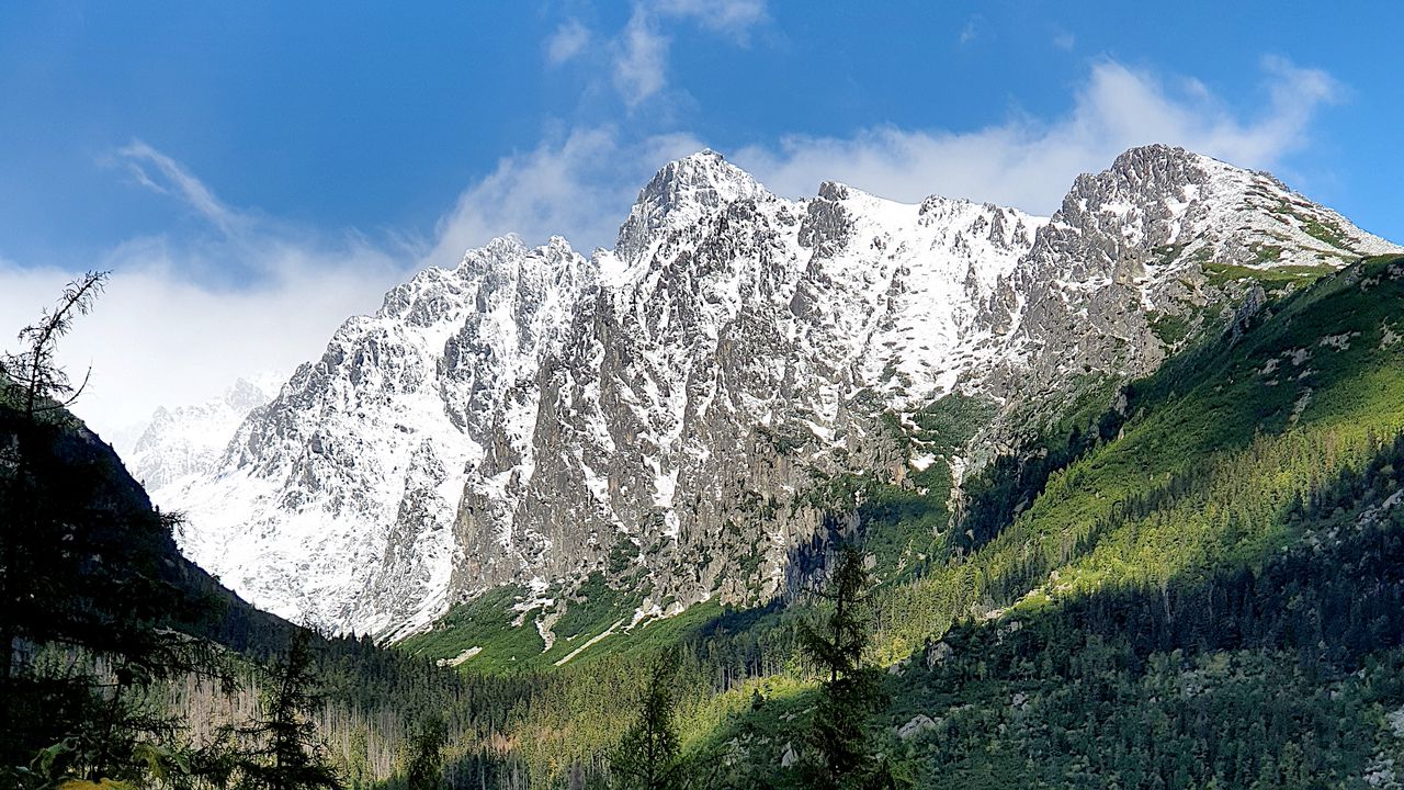 Wallpaper mountain, snow, trees, slope, landscape