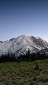 Preview wallpaper mountain, snow, trees, valley, grass