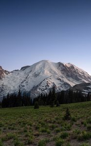 Preview wallpaper mountain, snow, trees, valley, grass