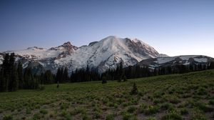 Preview wallpaper mountain, snow, trees, valley, grass