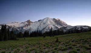 Preview wallpaper mountain, snow, trees, valley, grass