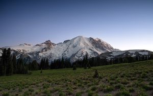 Preview wallpaper mountain, snow, trees, valley, grass