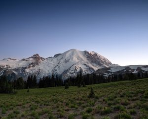 Preview wallpaper mountain, snow, trees, valley, grass