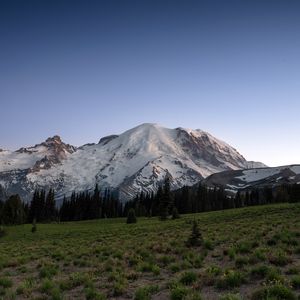 Preview wallpaper mountain, snow, trees, valley, grass