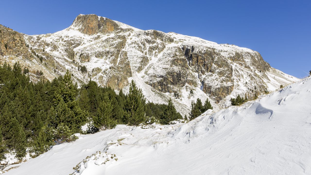 Wallpaper mountain, snow, trees, slope