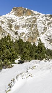 Preview wallpaper mountain, snow, trees, slope