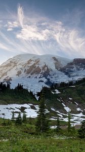 Preview wallpaper mountain, snow, trees, valley, grass, landscape