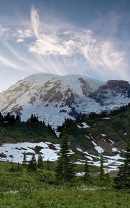 Preview wallpaper mountain, snow, trees, valley, grass, landscape