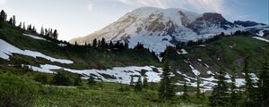 Preview wallpaper mountain, snow, trees, valley, grass, landscape