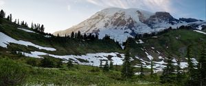 Preview wallpaper mountain, snow, trees, valley, grass, landscape