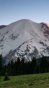 Preview wallpaper mountain, snow, trees, valley, grass, nature