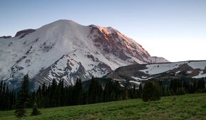 Preview wallpaper mountain, snow, trees, valley, grass, nature