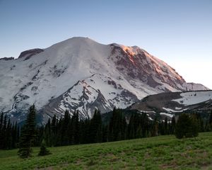 Preview wallpaper mountain, snow, trees, valley, grass, nature