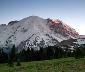 Preview wallpaper mountain, snow, trees, valley, grass, nature