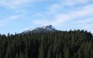 Preview wallpaper mountain, snow, trees, forest, landscape