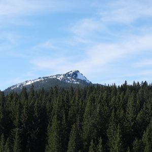 Preview wallpaper mountain, snow, trees, forest, landscape