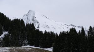 Preview wallpaper mountain, snow, trees, landscape, slope, winter