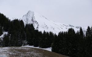 Preview wallpaper mountain, snow, trees, landscape, slope, winter