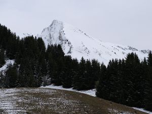 Preview wallpaper mountain, snow, trees, landscape, slope, winter