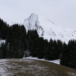 Preview wallpaper mountain, snow, trees, landscape, slope, winter