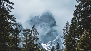 Preview wallpaper mountain, snow, trees, clouds, winter, landscape