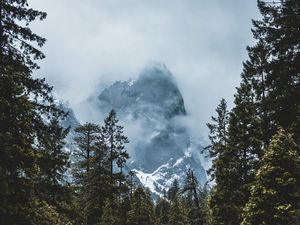 Preview wallpaper mountain, snow, trees, clouds, winter, landscape