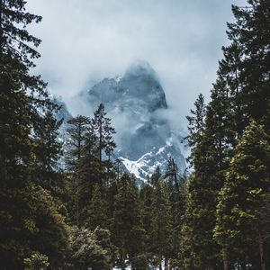 Preview wallpaper mountain, snow, trees, clouds, winter, landscape