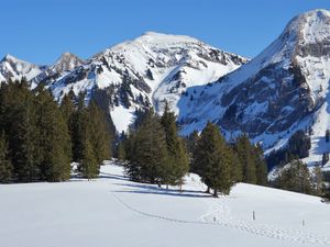 Preview wallpaper mountain, snow, winter, spruces, nature