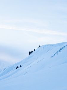 Preview wallpaper mountain, snowy, slope, landscape, winter