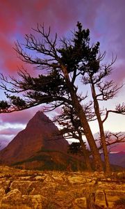 Preview wallpaper mountain, stones, tree, sky, evening, decline